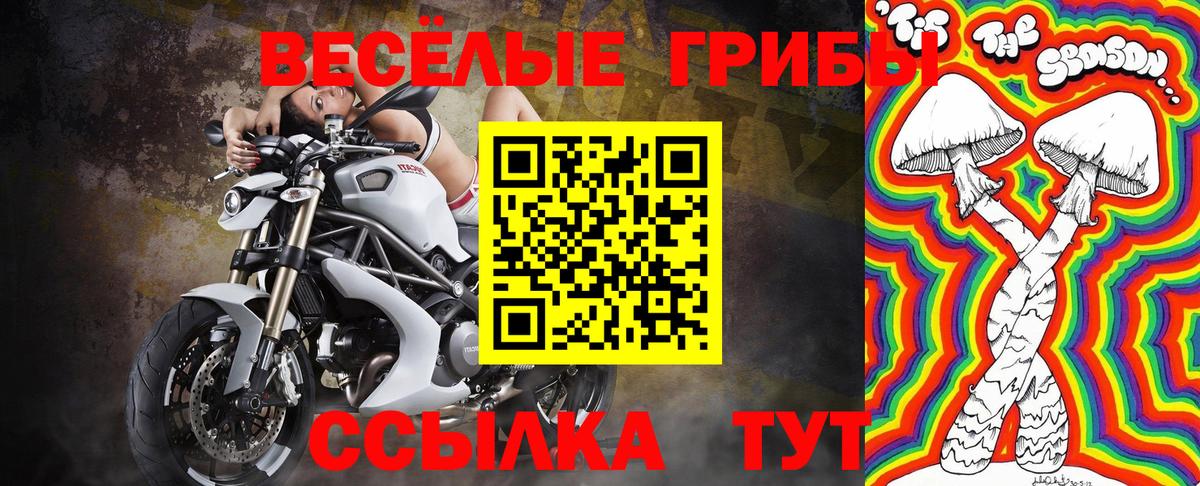 Псилоцибиновые грибы ЛСД  Вход с VPN  Ступино  Галлюциногенные грибы прущие грибы 
